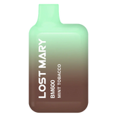 Lost Mary BM600 Mint Tobacco Prefilled Pod Kit